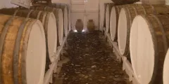 Guest photo from review