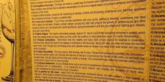 Guest photo from review