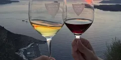 Guest photo from review