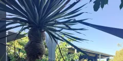 Guest photo from review